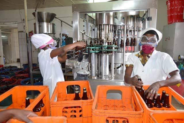 Local Beer Brewery Experience