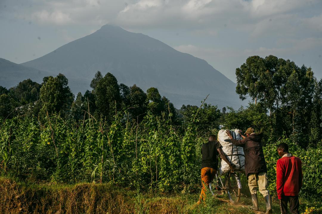 Farmers moving goods along a rural road beneath the volcanoes.